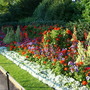 Regents_park_3