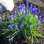 Dscn3470
