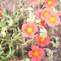 Pict0156