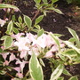 Pict0150