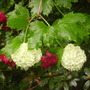 Pict0135