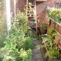 Gardensouthview