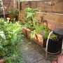 Gardensouth2