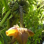 P1010068