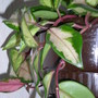 Dscn0002