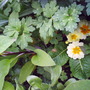 Picture_037