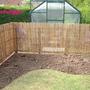 Backborder
