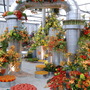 A garden for the future? Chelsea 2008