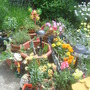 28th_april_08_124
