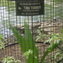 Picture_155