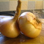 Dscf0020