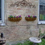 side of the house