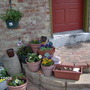 Garden_010
