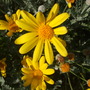 Dscf0870