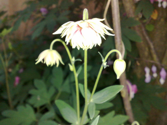 11052008055.jpg