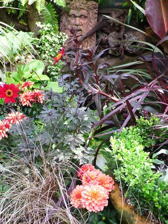 A garden flower photo