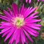 Dscf1154