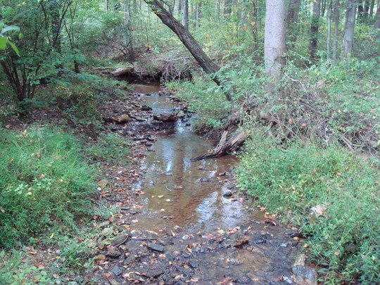 DSC00011.jpg
