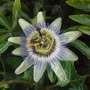 Dsc00286