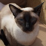 Brens_photos_259