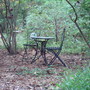 Dsc00001