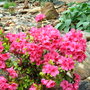 Dsc00652