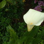 June_4th_2008_032