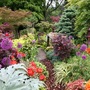 Lower garden 1 June