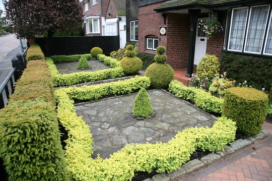 Front garden June 08