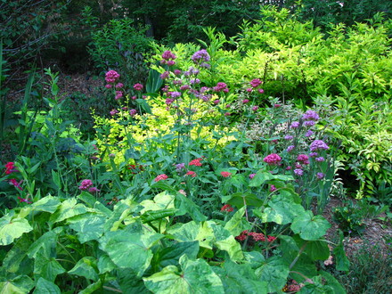 taken 6-7-08