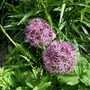 Dscn1746
