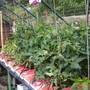 Picture_072