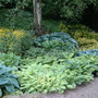 Pictures_to_sort_147