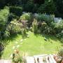 Back garden