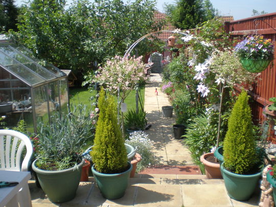 MY REAR GARDEN