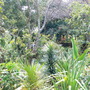 P1000742.jpg