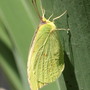 20080613_55b