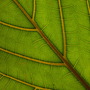 20080614_03