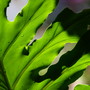 20080614_26