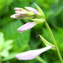 June08_088