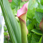 June08_090