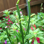 June08_098