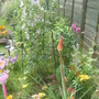 28th_april_08_157
