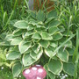 28th_april_08_165