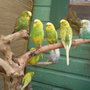 Lucys_pics_004