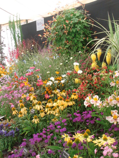Southport Flower Show 2007 - Hardys Plants Display