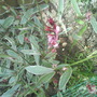 Dsc01011