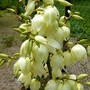 P1020370