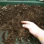 Mixing the compost