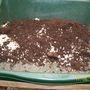 Getting the compost together ready to mix